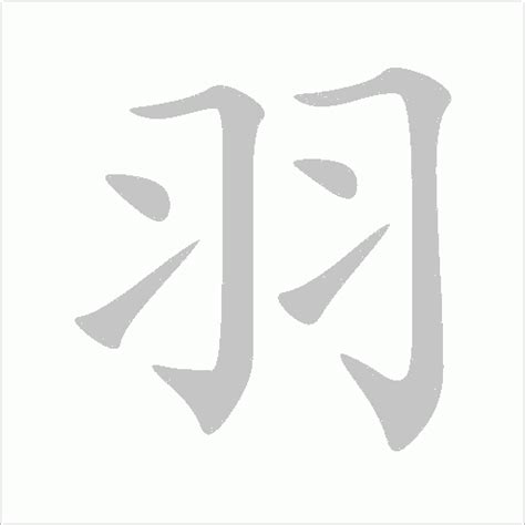 羽 字|羽（汉语文字）